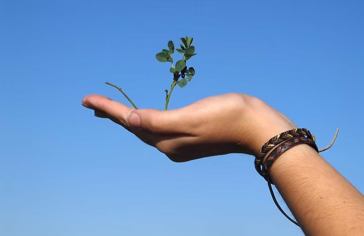 Pre Asta – che significa Pre Asta – che significa ? come funziona e come comprare ?